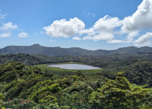 Discover the Island with Comfort: Best Private Taxi Tours in Grenada with Dave’s Excursions
