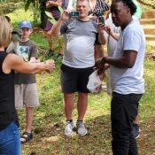 Cheap Taxi in Grenada