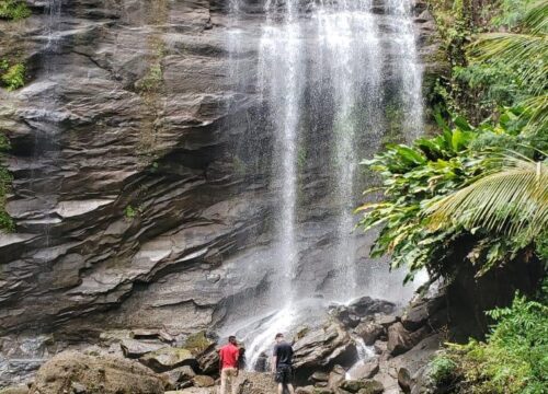 Island Tour Grenada: Explore Paradise with Dave’s Excursions
