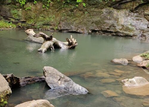 Private Taxi Tours in Grenada