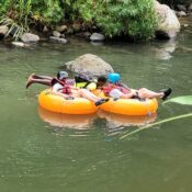 Island Experience Dave’s Excursions