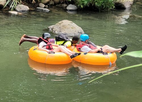 Discover the Flavors of Grenada: Spice Garden Tour with Dave’s Excursions